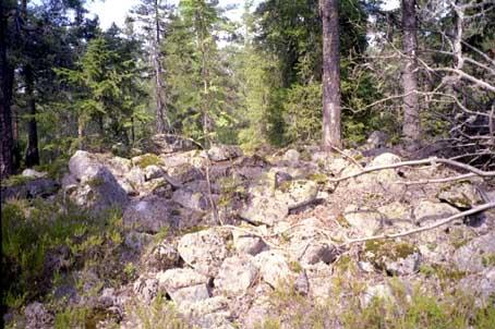 Kulturminner på Heksebergfjellet Heksebergfjellet er et område sjeldent rikt på kulturminner. Midt oppe på fjellet ligger et sammenhengende myrområde, Vardemåsan.