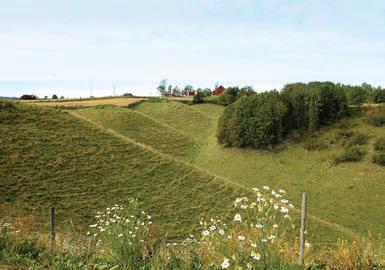 Størsteparten av Romerikes jordbruksområder ligger på gammel havbunn. Etter at landet hevet seg begynte vannet å grave ut daler i de enorme leire-, sand- og grusforekomstene efter siste istid.