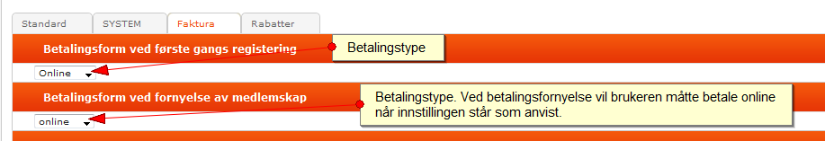 Dokumentasjon WebOrg, Side 36 Gruppe til online betaling Ved online betaling dukker det opp ny funksjonalitet slik at betalinger er mer fleksible.