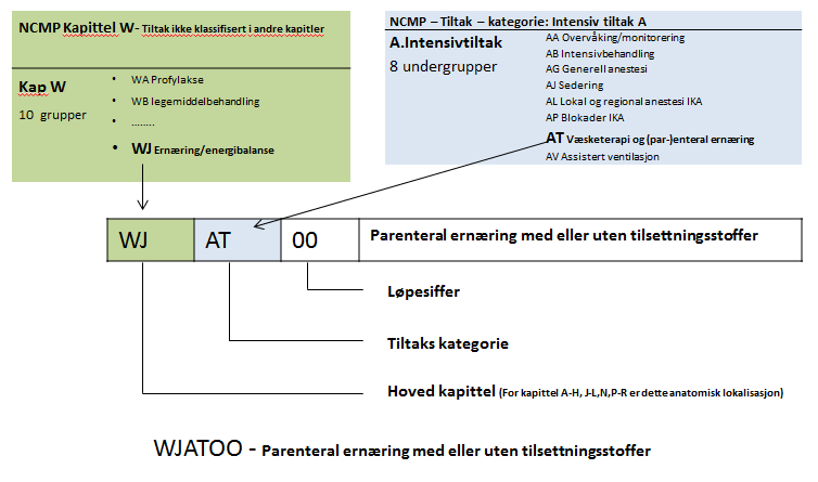 Figur 4 viser hvordan koden for Behandling med parenteral ernæring med eller uten tilsetningsstoffer logisk settes sammen til 4 bokstaver og to siffer. Figur 5.