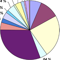 Utdrag fra behovsprofilen I det videre presenteres i diagram de gruppene som anvender om lag 70-80 pst. av kommunens nettobudsjett.