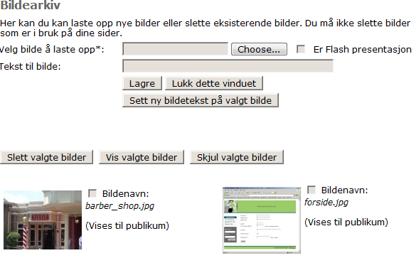 3.2.2.12 Logg ut Logger deg ut av den påloggede brukeren og tar deg med til startsiden for timeboken. Tilbake til Tilgangsoversikt 3.2.2.13 Bildearkiv Bildearkiv er tilgjengelig i menyen når man ikke er pålogget.