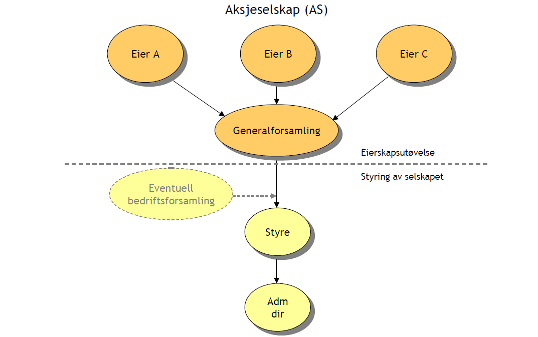 SIDE 64 AV 70 Vedlegg Selskaps og samarbeidsformer for kommunal sektor Aksjeselskap (AS) Bestemmelsene om aksjeselskap er regulert i aksjeloven av 13. juni 1977 nr. 44.