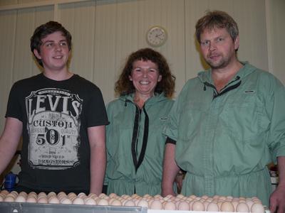 Eggproduksjonen har økt fra 1995 til og med 2010, jf fig. 32. Antall verpehøns har økt med hele 870 % i dette tidsrommet.