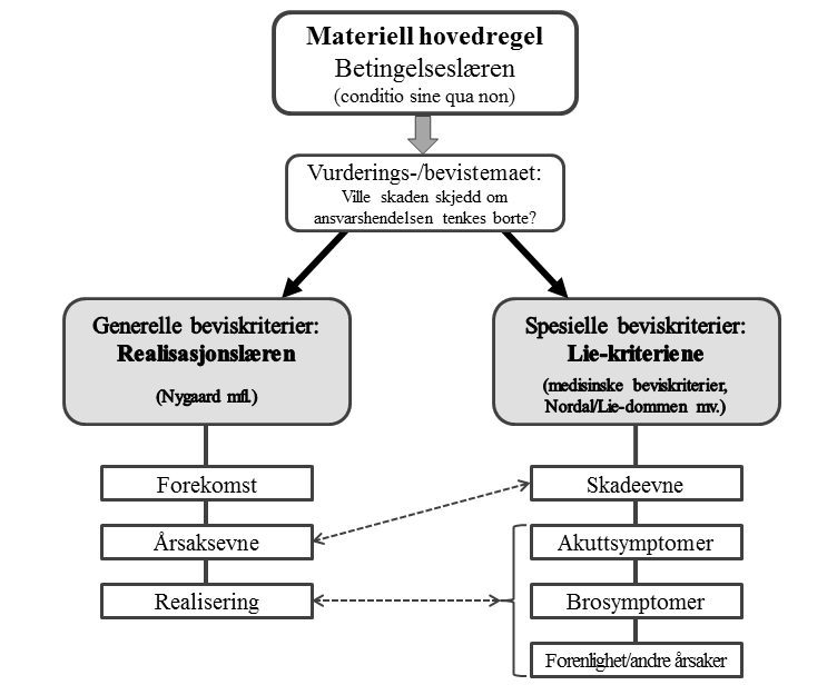 overvektsprinsippet. Forholdet til de alminnelige utgangspunktene for bevisvurderingen er vist ved den skråstilte stiplede pilen.