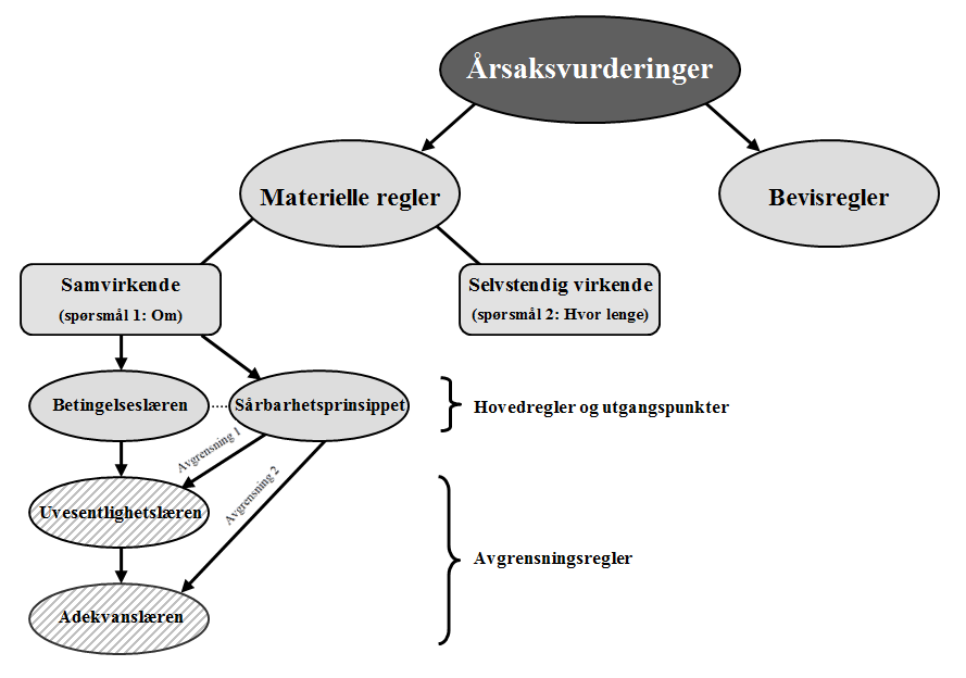 Figur 2. Årsaksvurderingens «kronologi» Modellen viser det som kalles for årsaksvurderingens «kronologi». Med dette menes at den angir rekkefølgen i hovedtrinnene for å vurdere årsakssammenheng.