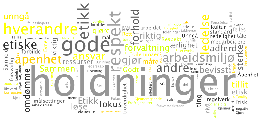 Evaluering av handlingsplaner for Holdninger, Etikk