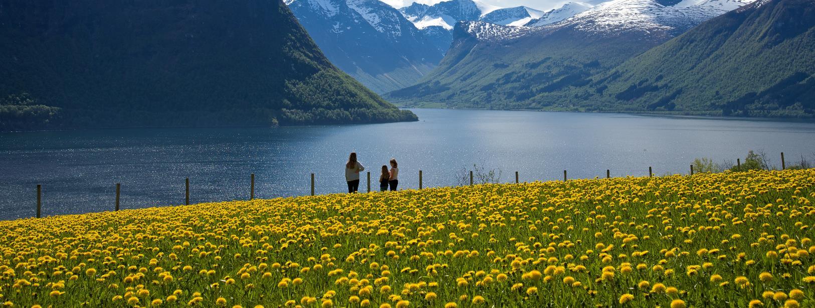 Øyvind Heen - Visitnorway.