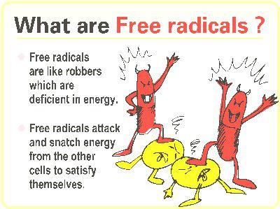 Ingen celler kan være helt trygge for virkningene av frie radikaler. Denne prosessen bryter ned og ødelegger cellene.