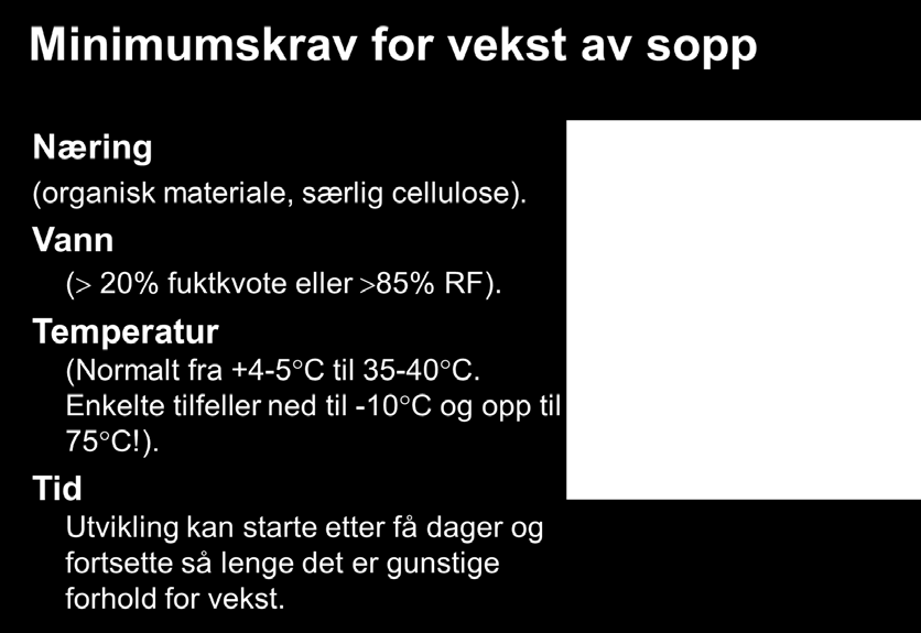 4. 1. Soppskader For at det skal kunne oppstå soppskader, må visse gitte forutsetninger være tilstede samtidig. Insektskader følger ofte soppskadene, men omtales i neste kapittel. Figur 3.