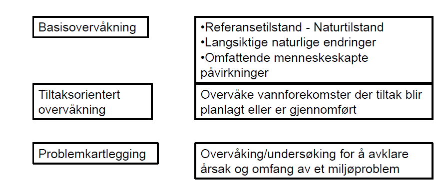 Overvåking av