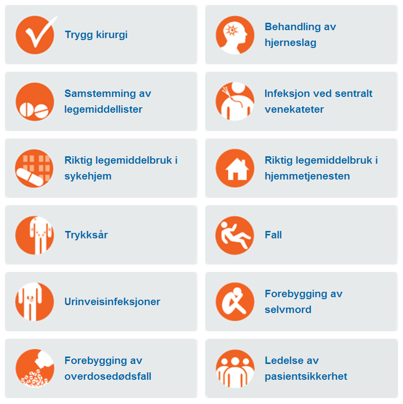 Figur 15-1. Innsatsområdene i det nasjonale pasientsikkerhetsprogrammet 15.2 Status per 1.