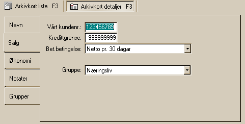 Arkivkort 96 Fanene for Navn og adresseinformasjon og notater er lik for kunder og leverandører. Salg Under denne fanen kan du registrere ditt kundenr., evt.