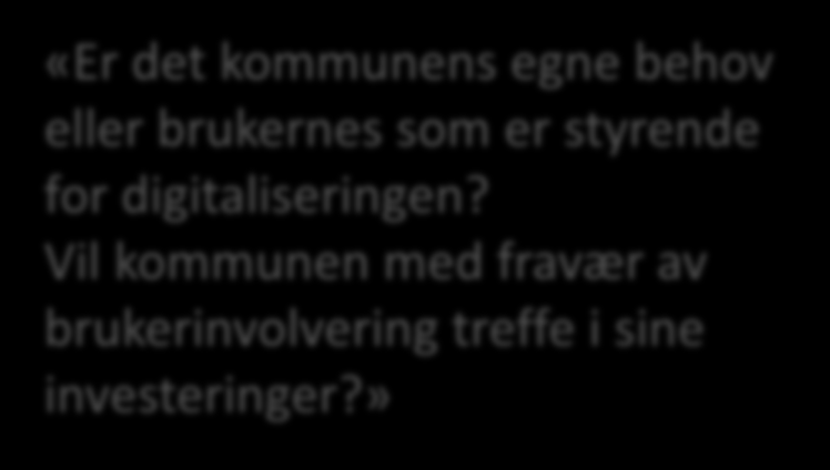 «Er det kommunens egne behov eller brukernes som er styrende for digitaliseringen?