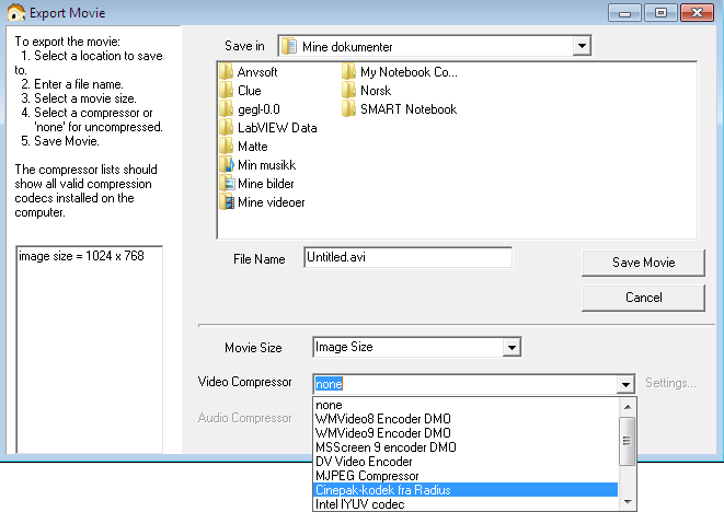 Her må du som vanlig finne et sted å lagre filmen din, samt gi den et passende navn. I tillegg må du velge en "Video Compressor".