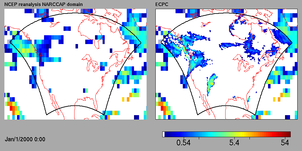 Global model Regional model Surface precipitation for the NCEP analysis global