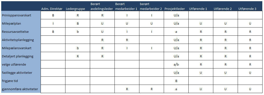 Figur 4 Eksempel på prinsippansvarskart.