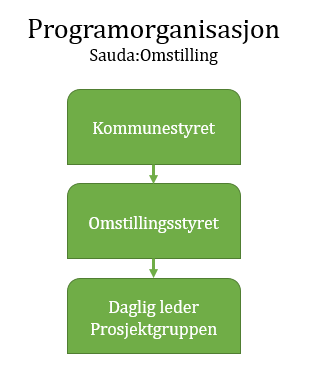 4. Organisering av omstillingsarbeidet 4.1 Om valg av organisasjonsform Sauda kommune har valgt å organisere sitt omstillingsarbeid som en programorganisasjon.