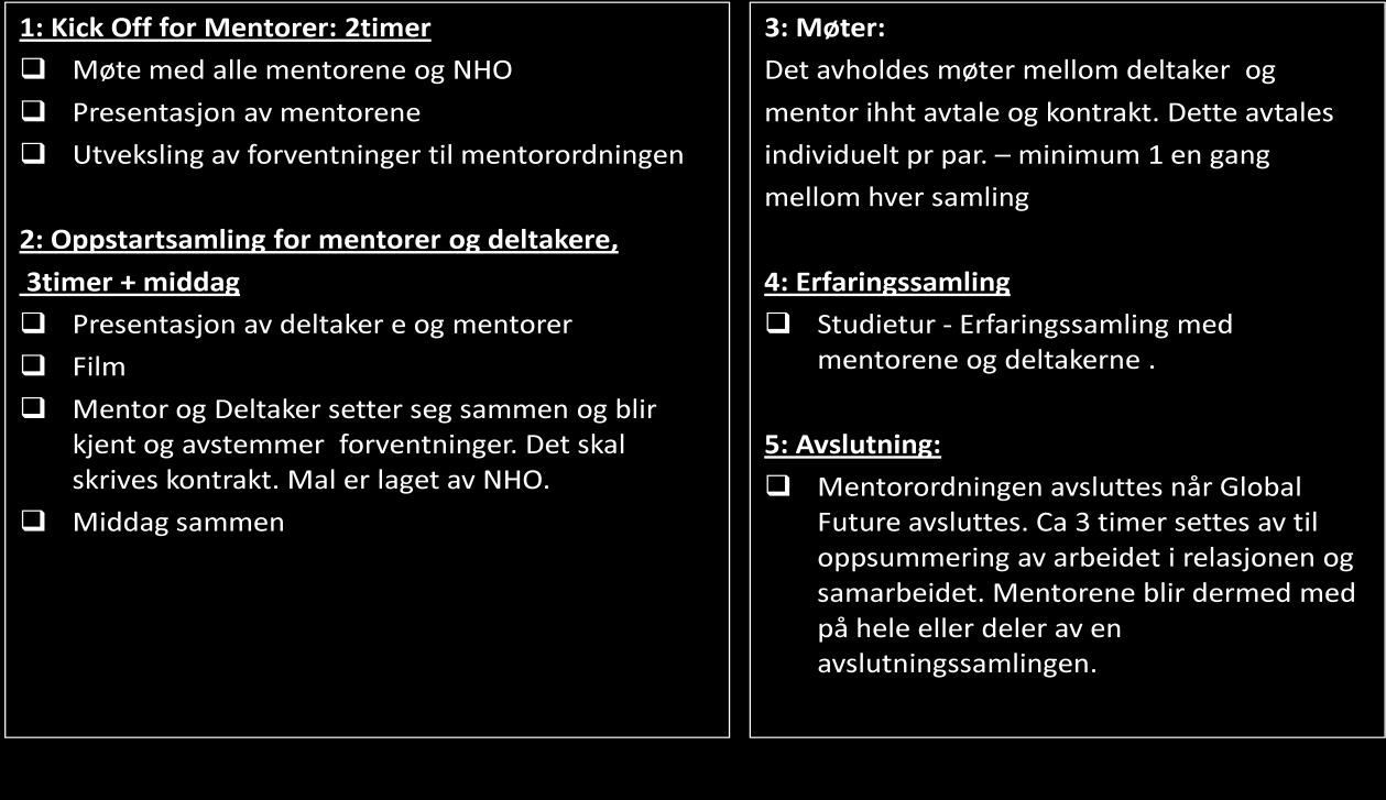 Prosjektet fikk få avslag på sin forespørsel de få de fikk var konkret begrunnet i mentorenes livsog arbeidssituasjon. Prosjektet hadde venteliste på mentorene.