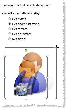 Spørsmålstyper De fleste spørsmålstypene inneholder ulike svaralternativer, hvor ett eller flere er riktige.