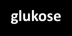 Relativ funksjon Glukose Insulinresistens og redusert insulinproduksjon ved T2DM 17.5 15 12.5 10 7.