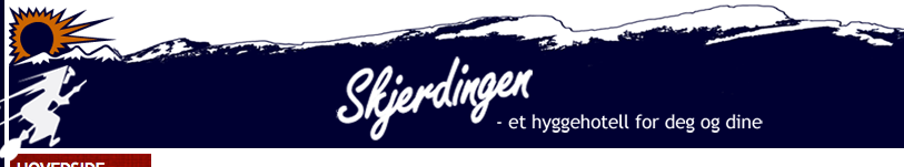 Ny utformet logo Logoen etter den ble endret, for å gjøre den til en del av nettsiden og dens fargeprofil.