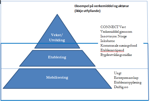 Idefase, etableringsfase og påfølgjande år.