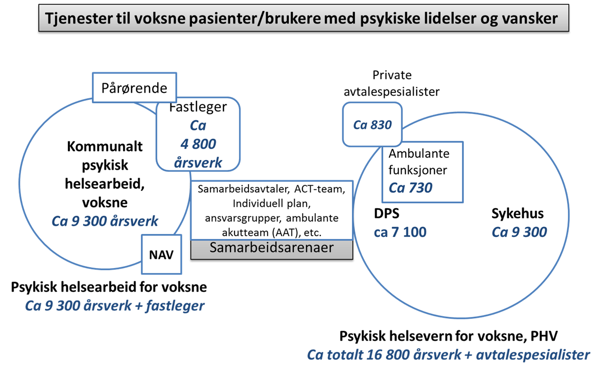 Både rus og psykisk helse feltet i Norge har siden årtusenskiftet vært gjennom flere omfattende reformer som har påvirket befolkningens tilbud av helsetjenester.