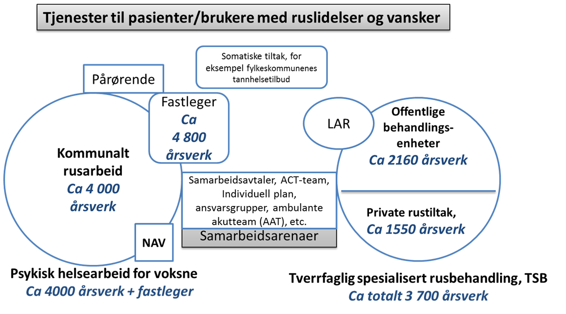 2.4 Tjenester til mennesker med ruslidelser og vansker Figur 2.