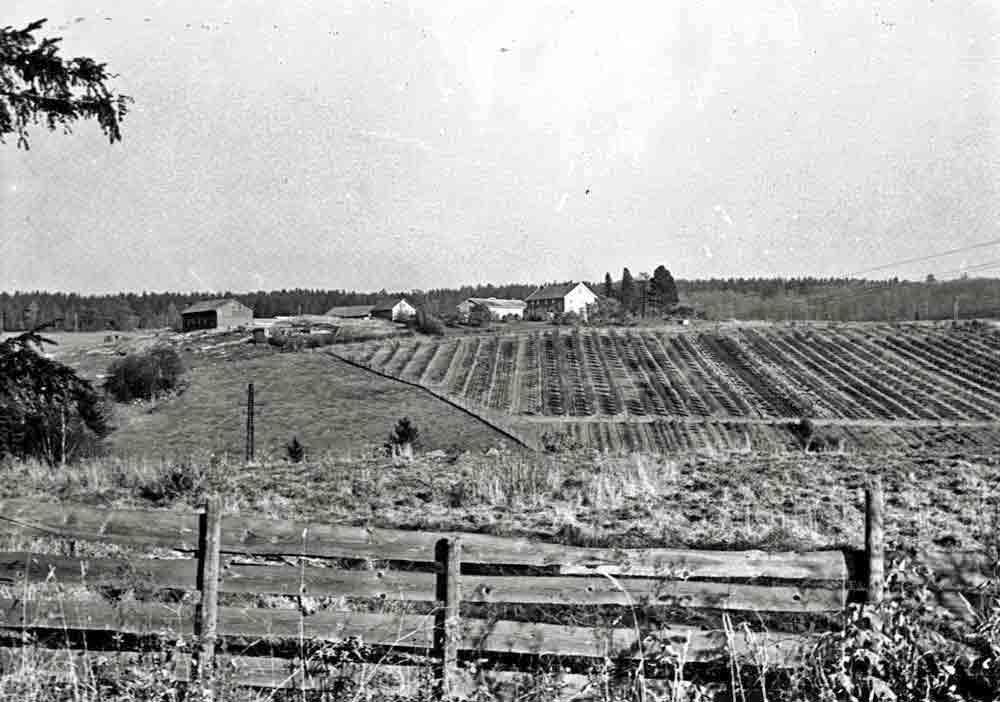 Thorleif Waaler: Johan Simen Waaler og Hanna Dorothea Chrystie 18 representant ved grunnlovsforsamlingen på Eidsvoll i 1814.