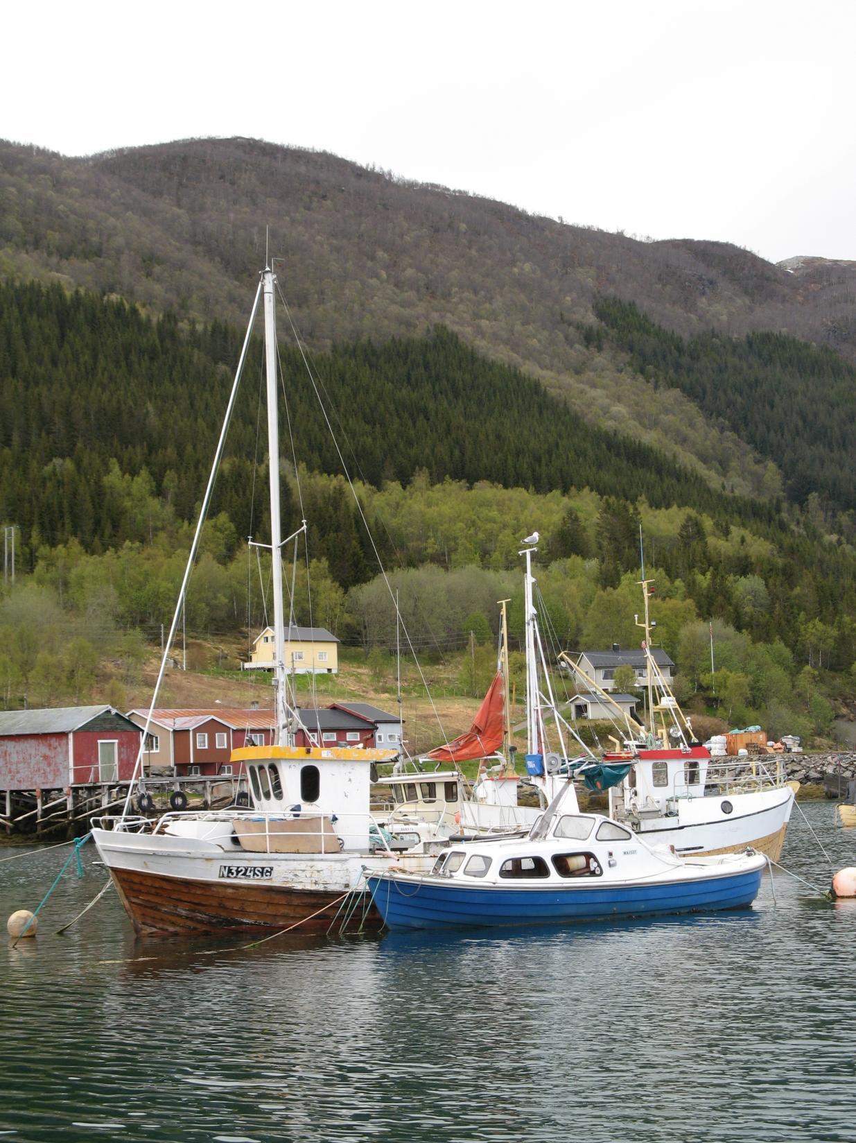 6/2011 Nytt verktøy i tradisjonell næring Om likestillingsarbeid i tre kystnæringsbedrifter