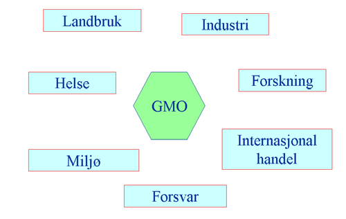 Det som er en misforståelse, er at det kun er GMO-er som er genetisk endret, og at produkter fremkommet ved annen foredlingsteknologi ikke er genetisk endret.