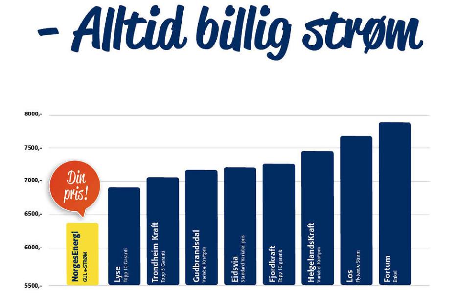 97 Figur 9: Illustrasjon av NorgesEnergi