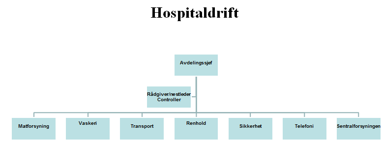 avdelingene sine behov. Enheten har 16 fulltidsstillinger. (Helse Bergen, 2014) Organisasjonskart Modell 1 Viser organisasjonskart for Hospitaldrift (Helse Bergen, 2014) 2.