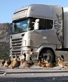 4 Scania har levert en topp moderne lastebil som setter ny standard for drivstofføkonomi, kjørbarhet og generell effektivitet. Juryens formann Gianenrico Griffini Kontakt oss for prøvekjøring på www.