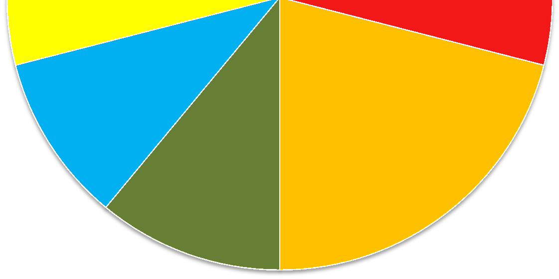 DE VANLIGSTE AVVIKENE VED REVISJONER Dokumentstyring; 12% Andre; 17% Opplæring i eget styringssystem; 29%