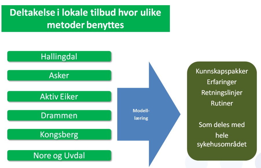 Lokale aktiviteter To av prosjektets mål har vært modellæring gjennom samarbeid om kurs, grupper og informasjon og individuell veiledning.