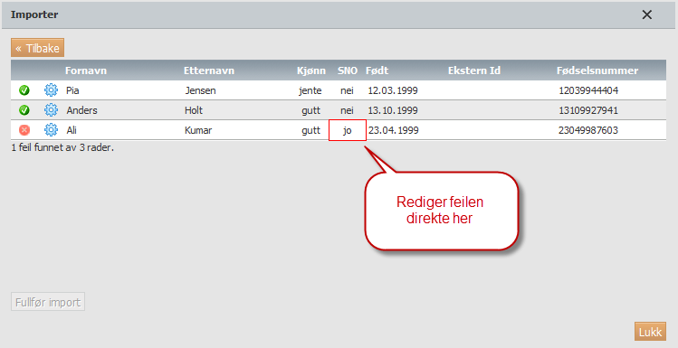 Hvis listen inneholder feil, blir feltet med feil markert med en rød ramme. Du har 2 muligheter til å rette feilen: 3. Klikk på og rett opp feilen i den opprinnelige listen du skrev/limte inn eller 4.