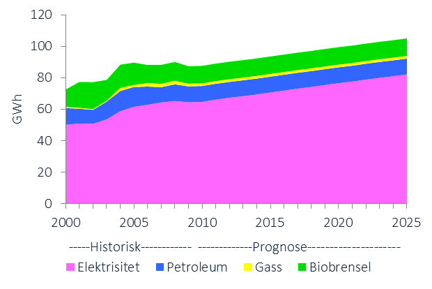 UTVIKLINGSTREKK ENERGIFORBRUK I årets utredning presenteres kun oppdaterte tall for elektrisitet og fjernvarme. Dette er fordi det ikke finnes statistikk for øvrige energibærere fra årene etter 2009.