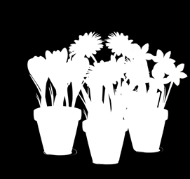 Du kan lage vakre krukkeansamlinger og du kan lett skifte ut blomster som eventuelt visner. De fleste uteplanter kan brukes i krukker og potter, men resultatet avhenger av innsatsen din.