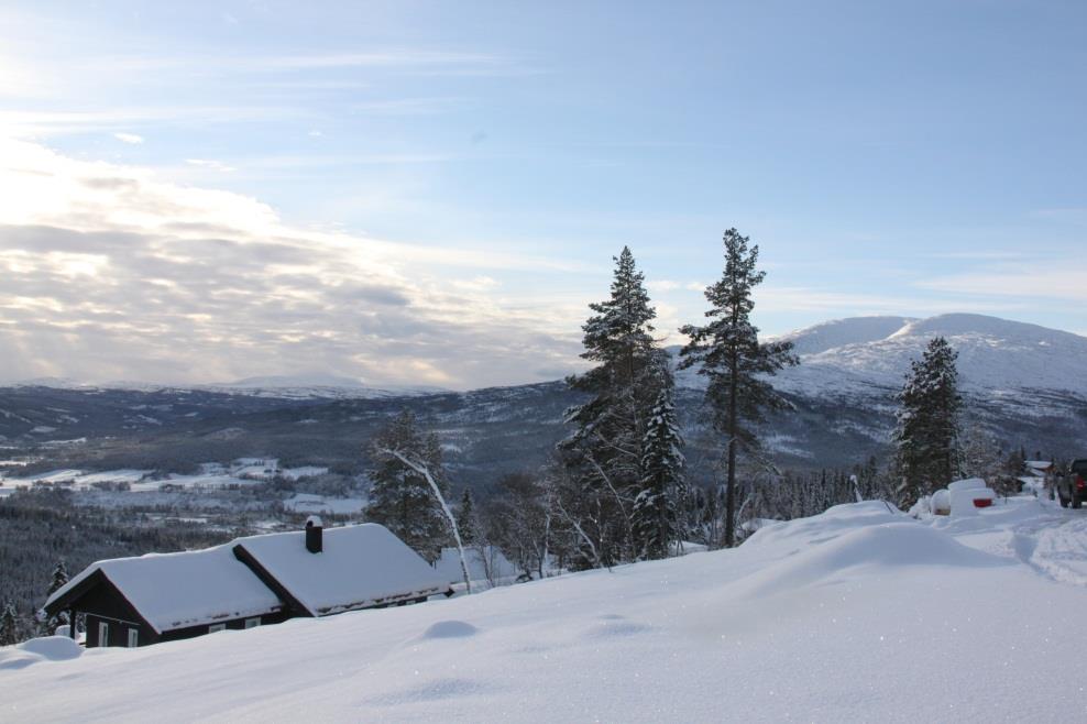 småvilt- og storviltjakt Utleie av innenlands- og laksefiske Utleie av hytter i fjellet