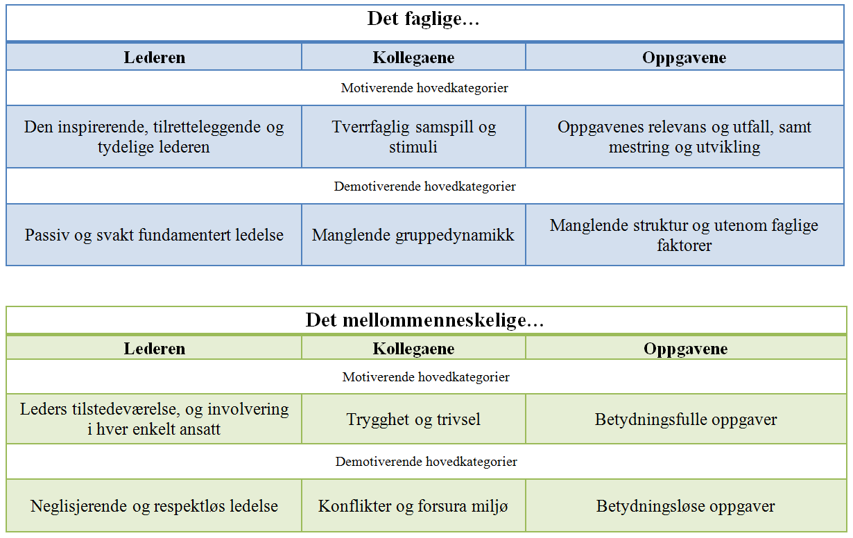 beskrivelser som fungerer som overordnede etter den inndelingen som kom ut av den aksiale kodingen.