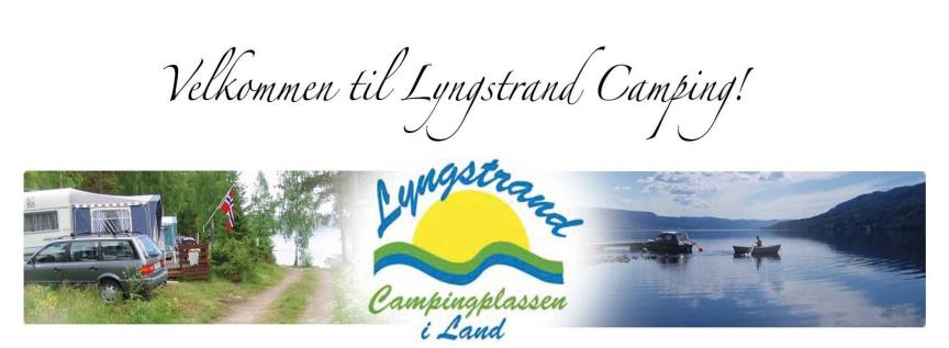 Lyngstrand camping har i tillegg et litt begrenset antall hytter til leie. Det er 4 hytter av varierende størrelse, med til sammen ca 15-20 soveplasser.