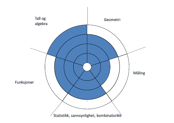 Eksempel på utvidet kompetanse Kilde: