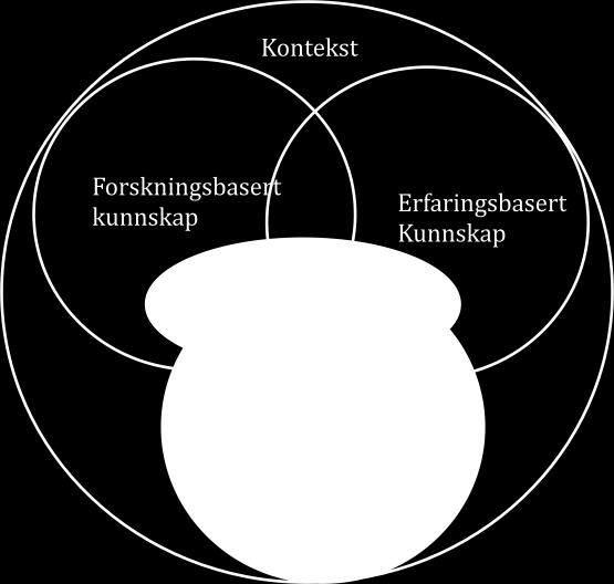 Høringsdokument Strategiplan SSHF 2015