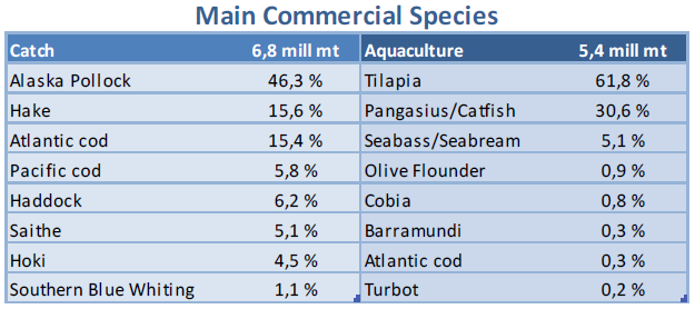 Figur 3 Årlig Fiskeproduksjon (World Bank, 2013) De 15-20 mest kommersielle artene fra hvitfisksegmentet utgjør rundt 12-13 millioner tonn, der rundt 6,8 millioner tonn kommer fra tradisjonelt