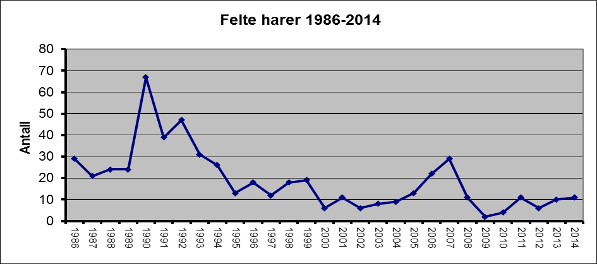 Hare Jaktstatistikken i tabell 4 viser antall felte harer i statsallmenningen. 11 harer ble innrapportert felt i år.