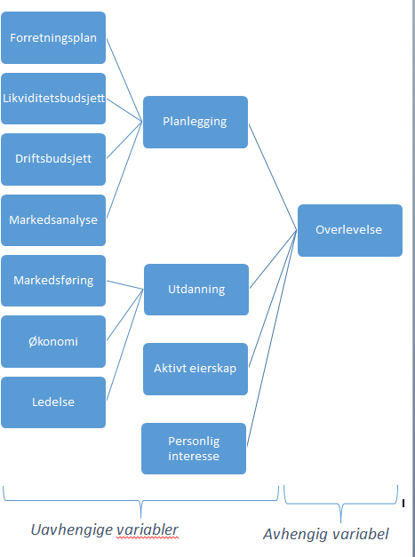 Vi har sett i teorien at lidenskap kan være viktig for en grunder. Dybdeintervjuene viser at stor interesse for tjenesten eller produktet som blir solgt, kan føre til suksess.