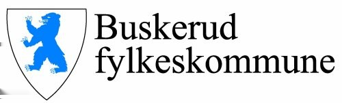 ÅRSBERETNING 2009 Innledning Årsberetningen er en økonomisk redegjørelse for virksomheten i 2009. Den er utarbeidet av fylkesrådmannen.