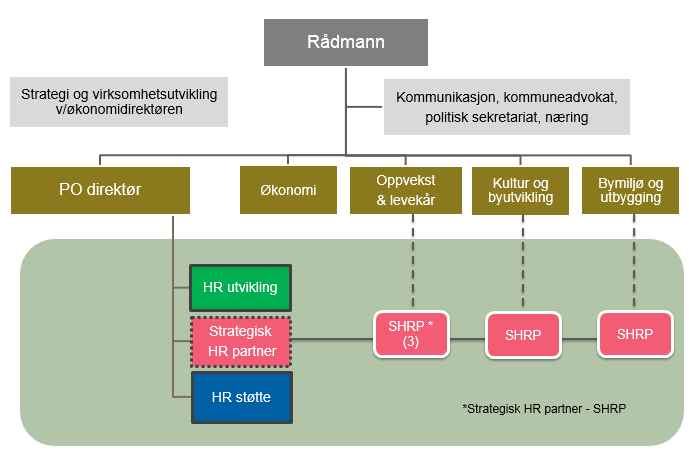 11 Anbefalt hovedstruktur og organisering av ny HR avdeling Referanse til EY rapport: punkt 4.6 og 4.7 EY presenterer i sin sluttrapport et organisasjonskart for ny HR avdeling.